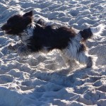 Emil am Meer