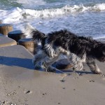 Emil am Meer